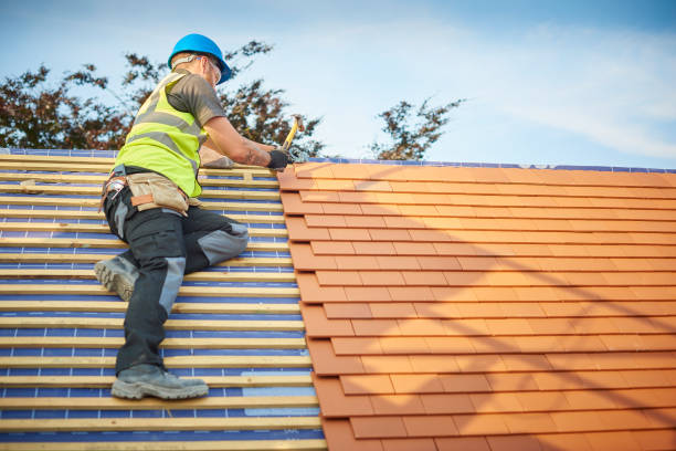 Best Skylight Installation and Repair  in Toledo, OR